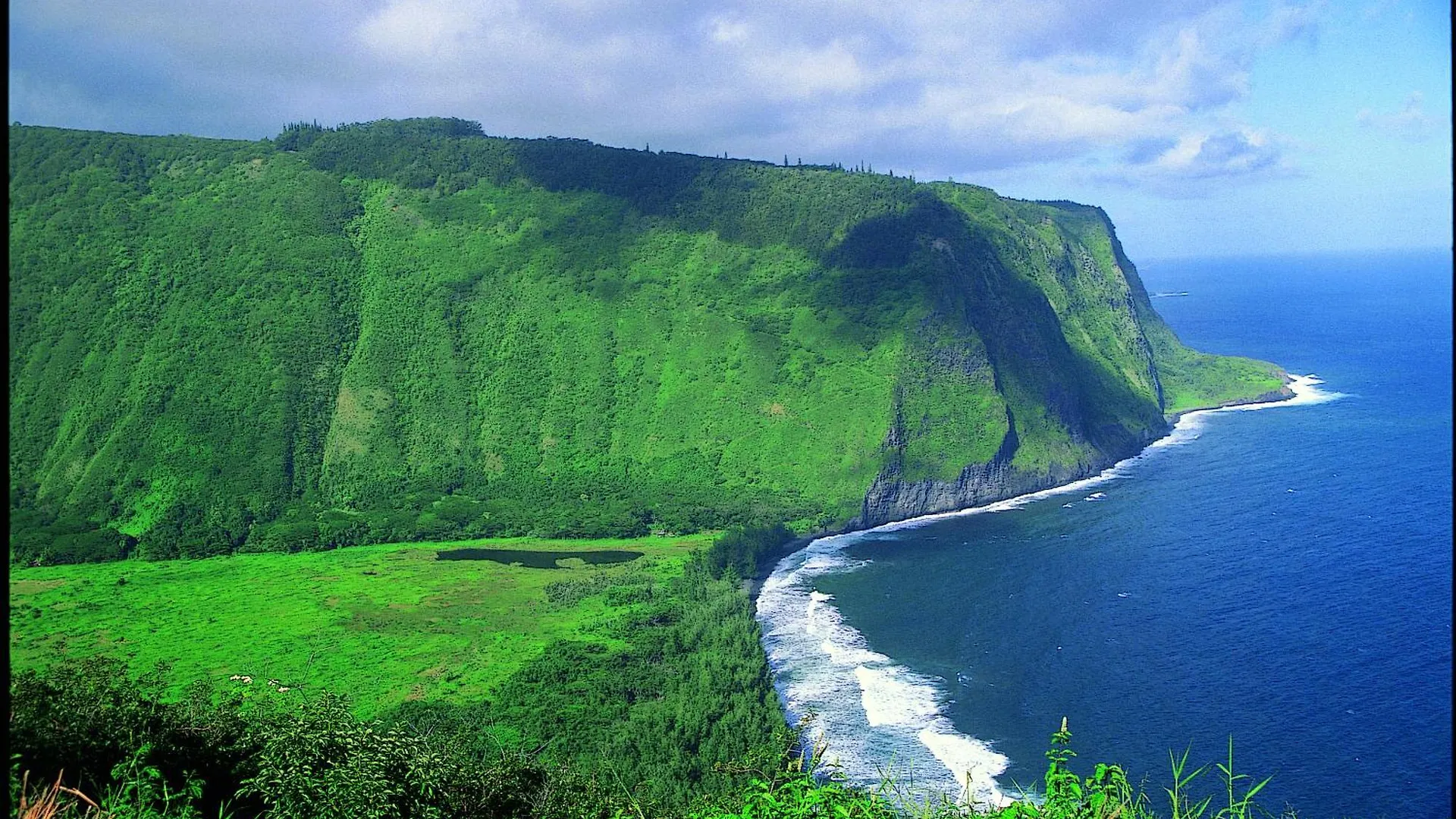Waipio Valley Botanical Garden With Waterfall & Beach Access!
