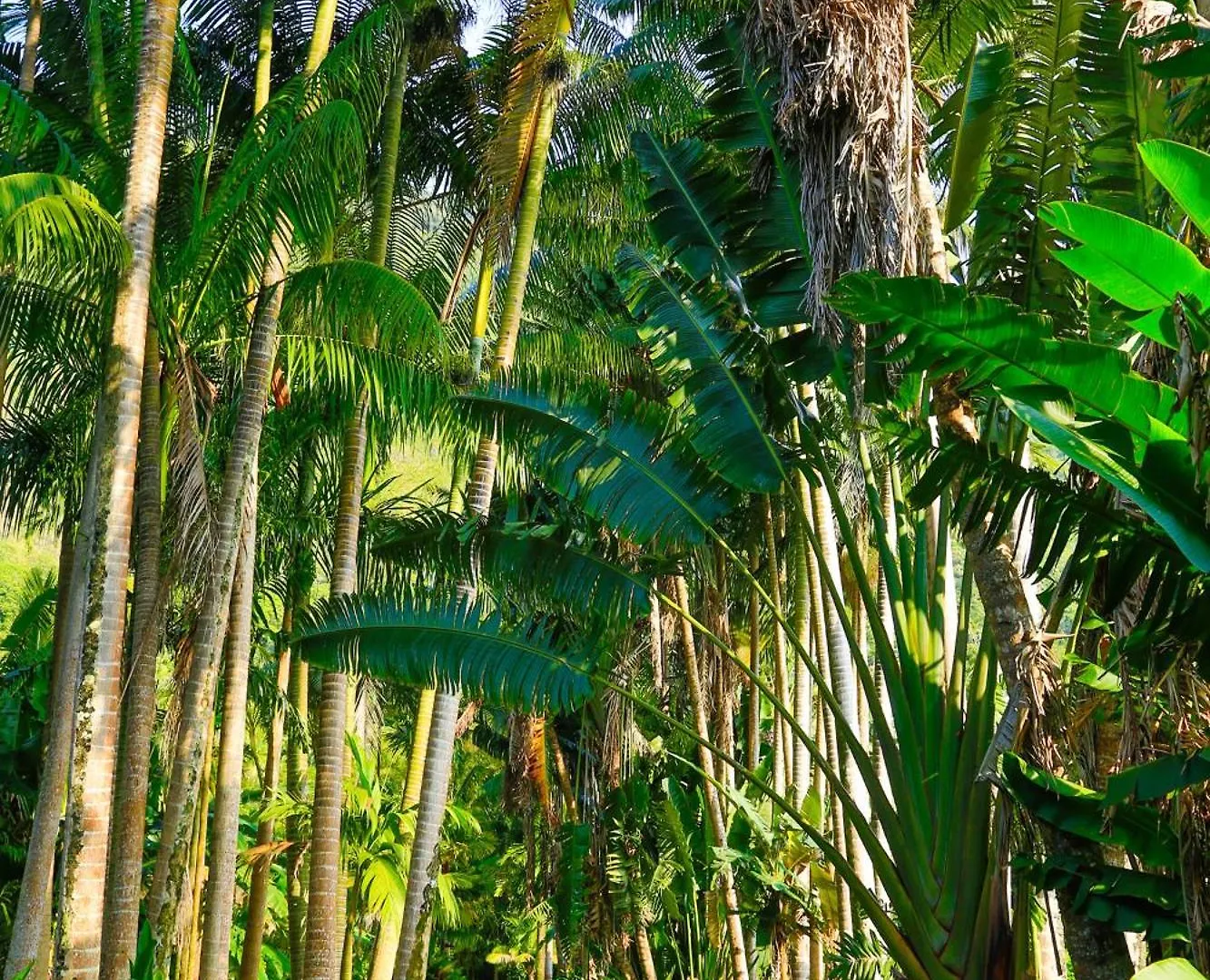Holiday home Waipio Valley Botanical Garden With Waterfall & Beach Access! United States