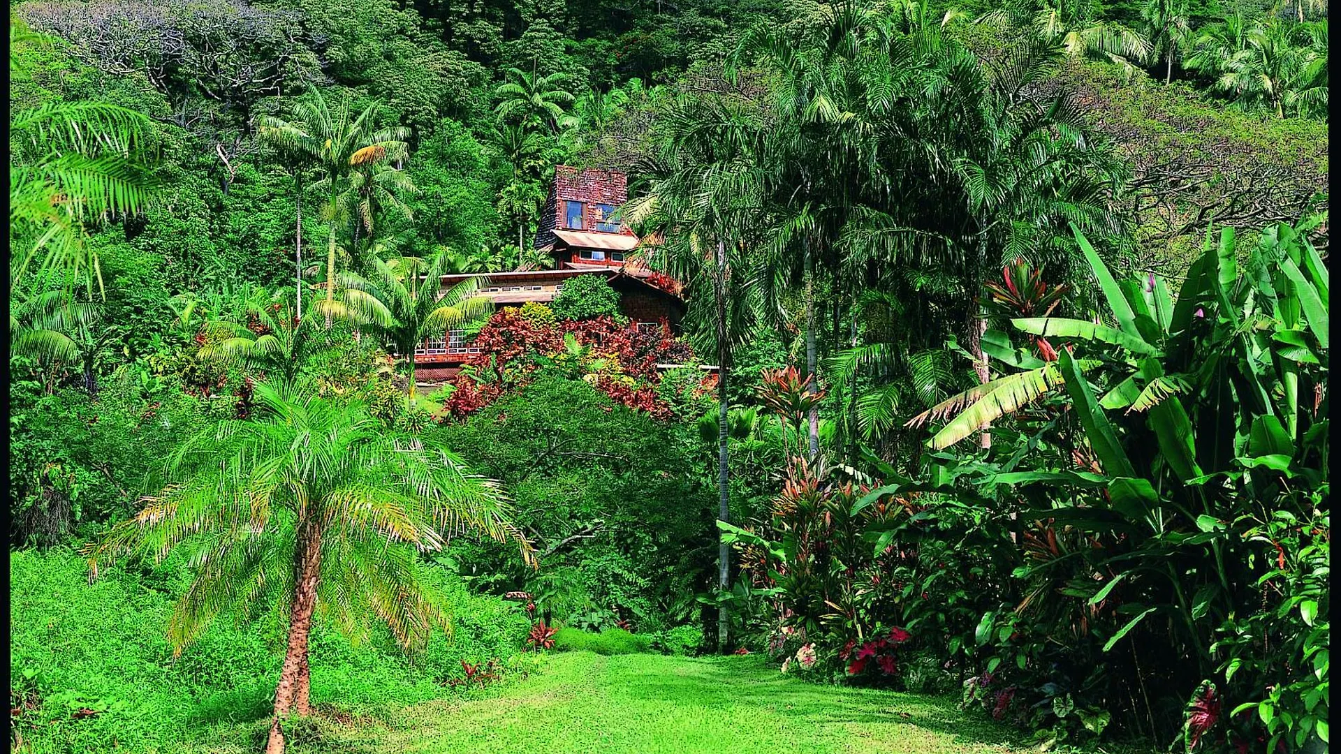 Waipio Valley Botanical Garden With Waterfall & Beach Access! 0*,  United States