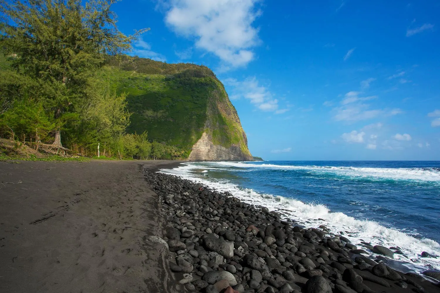 Waipio Valley Botanical Garden With Waterfall & Beach Access! Holiday home